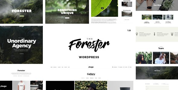 00_forester_preview.__large_preview.__large_preview.jpg