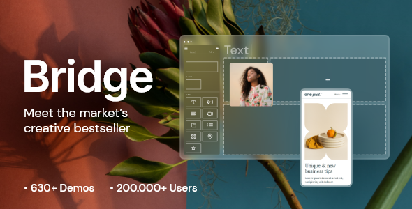 01_bridge.__large_preview.png