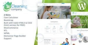 590_cleaning_wp.__large_preview.jpeg