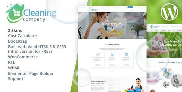 590_cleaning_wp.__large_preview.jpeg